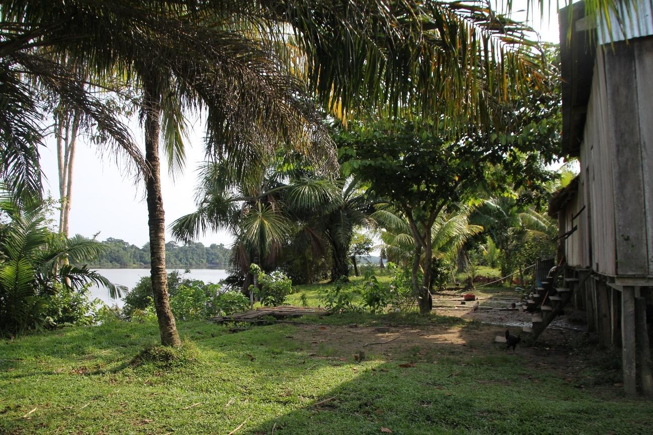 Vista de un parque

El contenido generado por IA puede ser incorrecto.