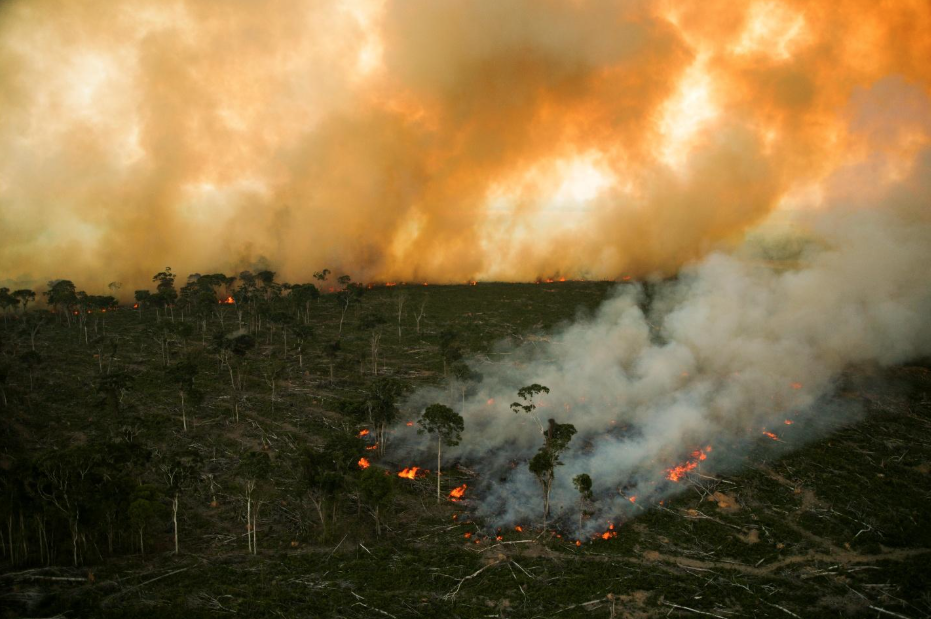 CONVOCATORIA CONSULTORÍA JURÍDICA PARA EL ANÁLISIS DEL MARCO NORMATIVO SOBRE INCENDIOS FORESTALES EN PERÚ
