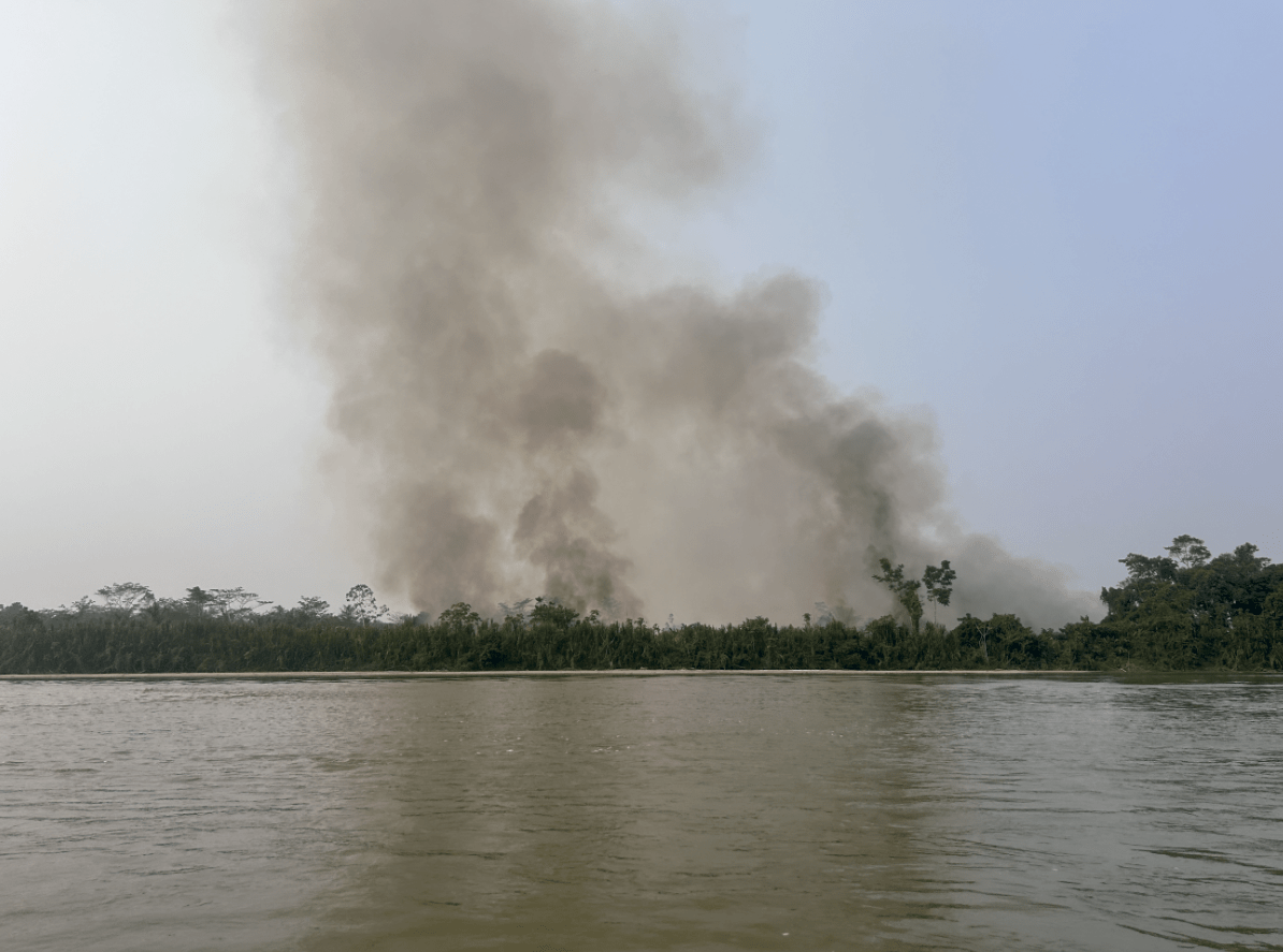 CONVOCATORIA: Consultoría para producción y difusión del evento de lanzamiento de la Colección 1 de Mapbiomas Fuego-Perú en Pucallpa