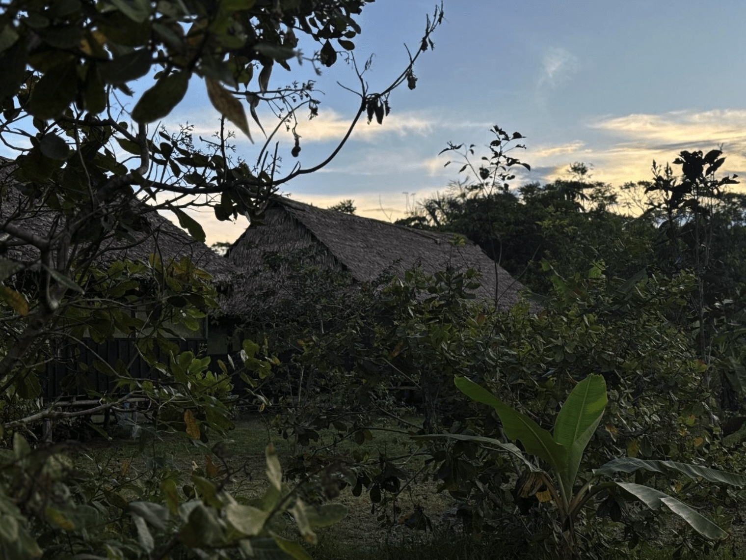 2025-10-23-14-15-54_68fa389abbfc4