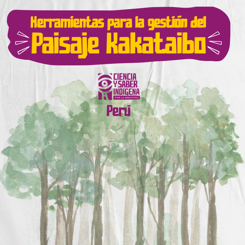 2025-11-12-00-46-56_6913d90029754