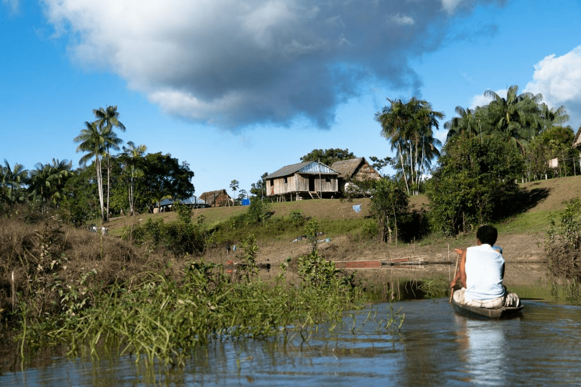 CONVOCATORIA: Coordinador del Área de Monitoreo de los Bienes Comunes