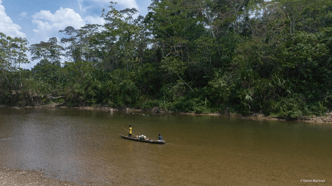 CONVOCATORIA DE CONSULTORÍA: Elaboración de un documento síntesis sobre los aportes a la incidencia hacia la COP30 desde el proyecto Ciencia y Saber Indígena por la Amazonía.