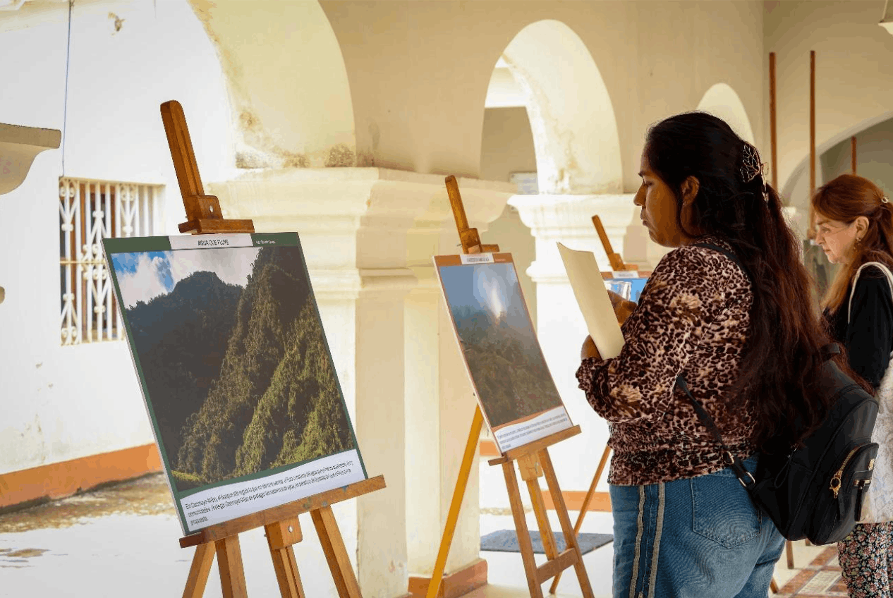 Exposición fotográfica: Osomayo-Milpo un bosque de neblina clave para el agua y la biodiversidad