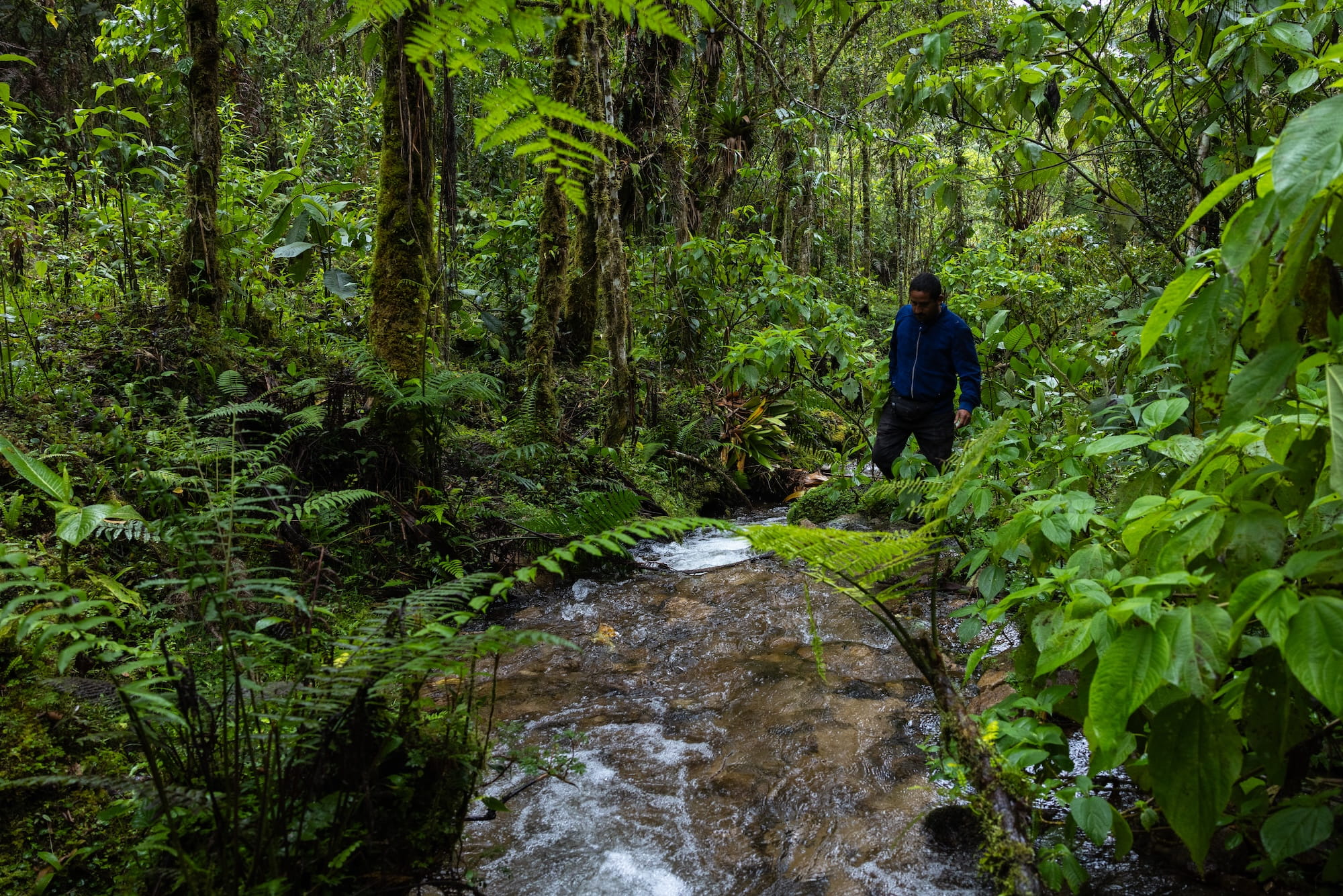 Nueva Área de Conservación Regional Chontabamba Huancabamba asegura el agua para Pasco