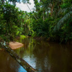 zona-reservada-yaguas